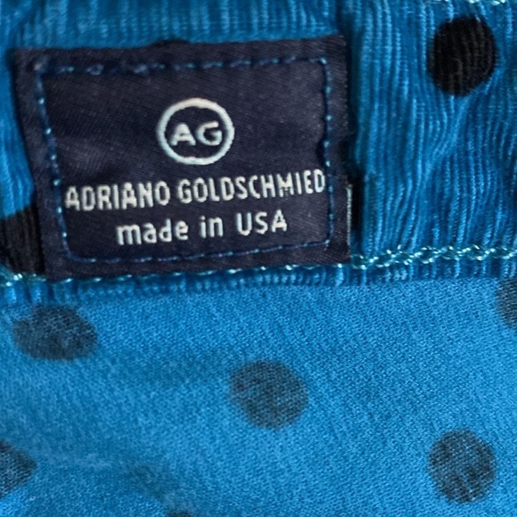 AG the Stevie Blue Polka Dot Pants corduroy women 29R slim straight Y2K retro - Picture 8 of 12